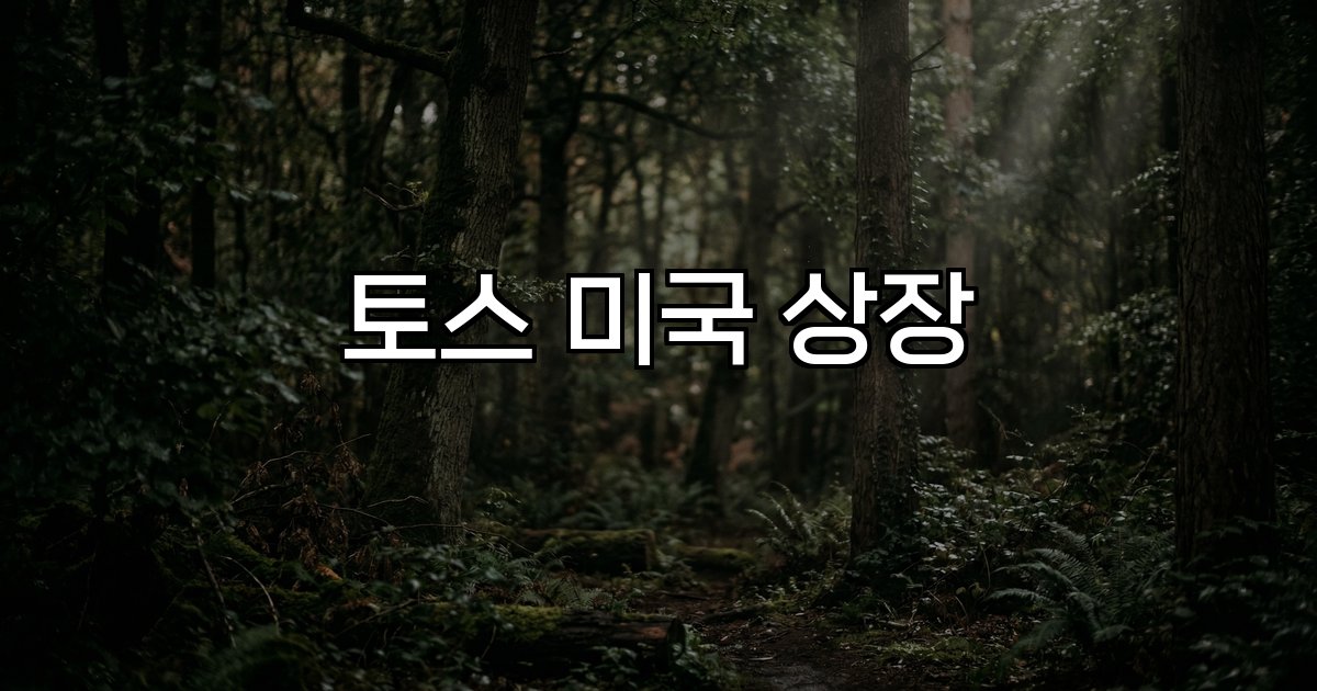 토스 미국 상장 ADR 나스닥 글로벌 전략